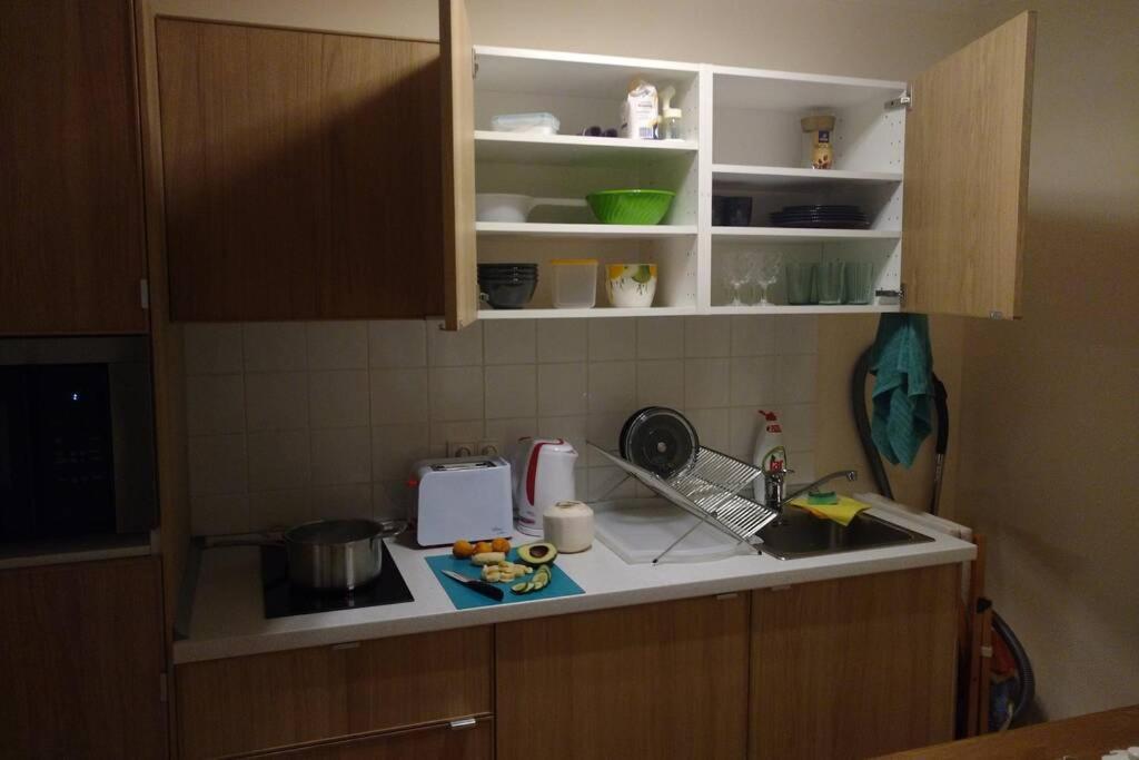 Marvelous Apartment In The Center Of Prag Dış mekan fotoğraf