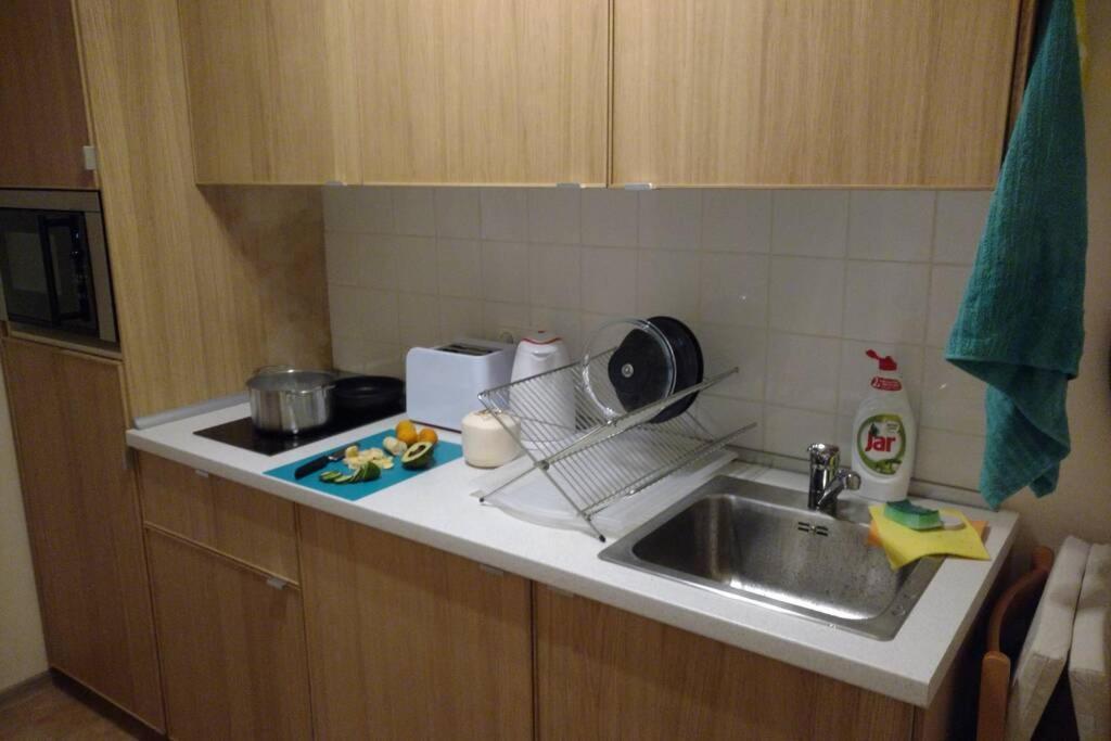 Marvelous Apartment In The Center Of Prag Dış mekan fotoğraf